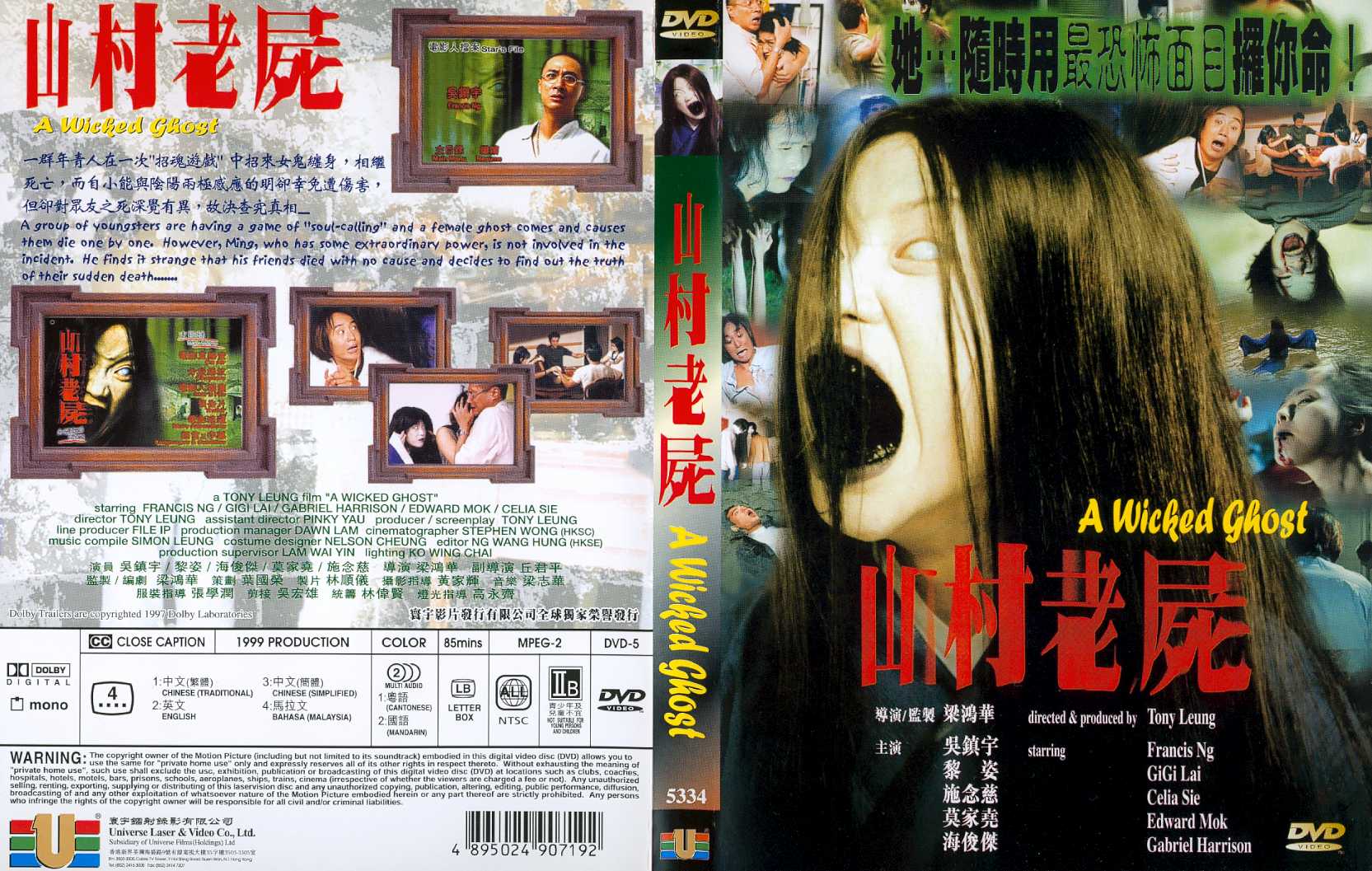 Wicked Ghost, A Cover Scan