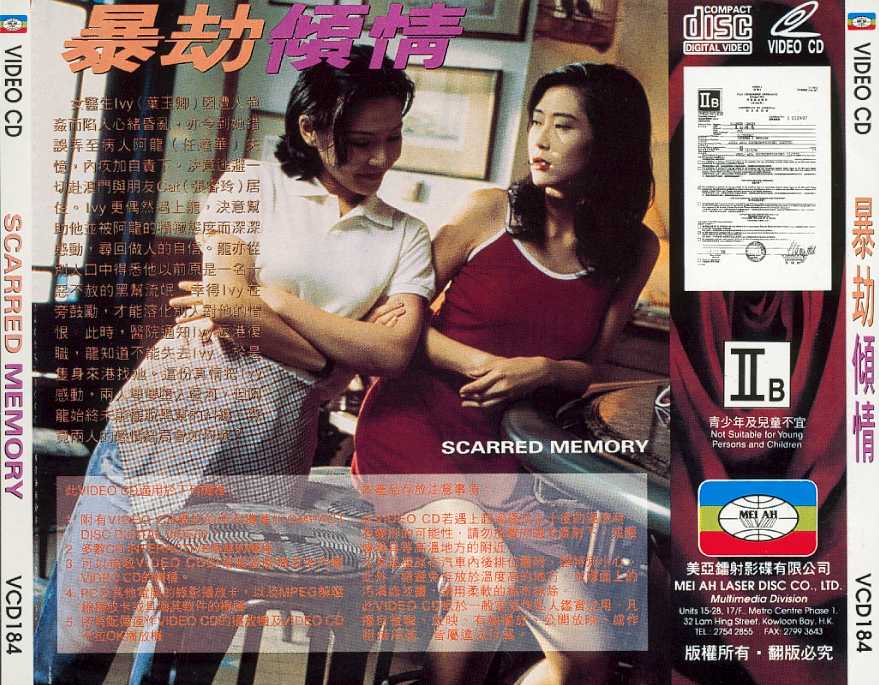 Scarred Memory Cover Scan